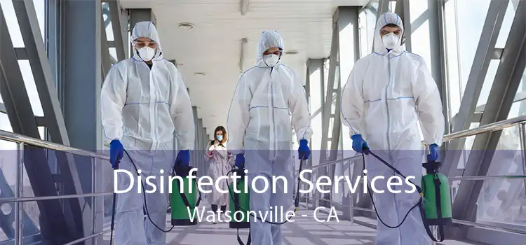 Disinfection Services Watsonville - CA