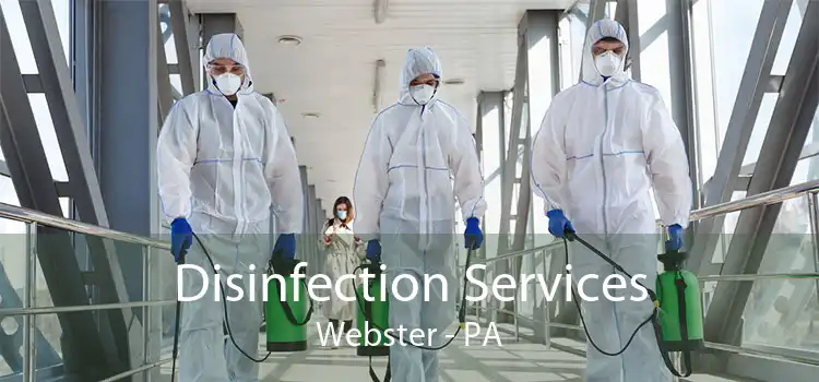Disinfection Services Webster - PA