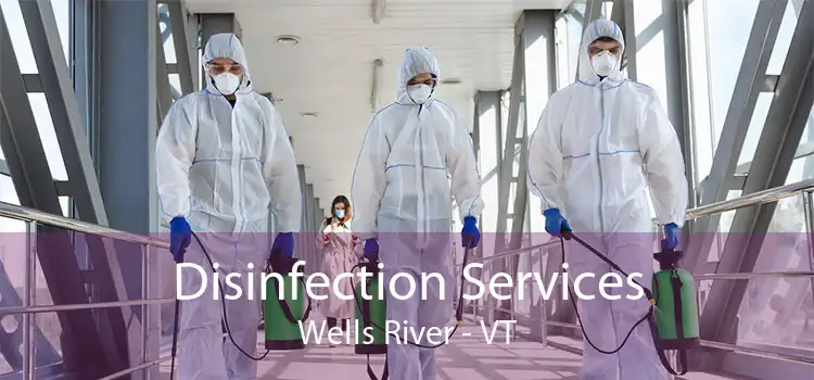 Disinfection Services Wells River - VT