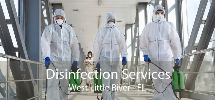 Disinfection Services West Little River - FL