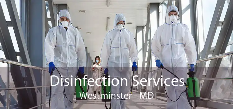 Disinfection Services Westminster - MD