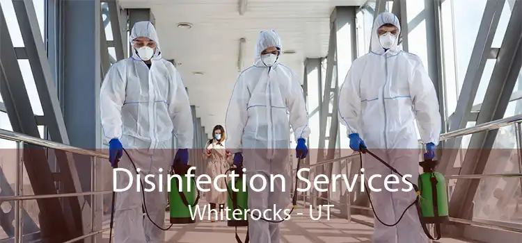 Disinfection Services Whiterocks - UT