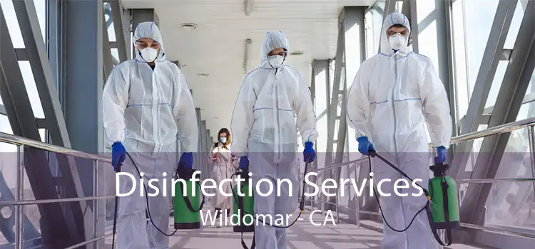 Disinfection Services Wildomar - CA