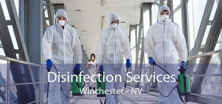 Disinfection Services Winchester - NV