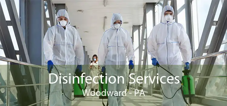 Disinfection Services Woodward - PA