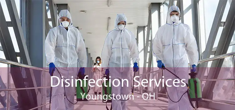 Disinfection Services Youngstown - OH