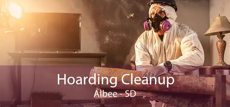 Hoarding Cleanup Albee - SD