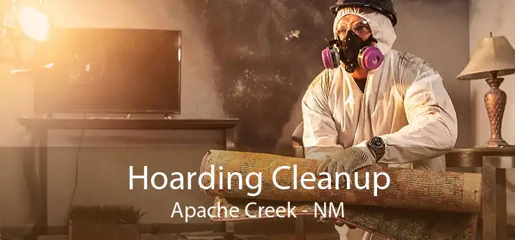 Hoarding Cleanup Apache Creek - NM