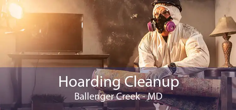 Hoarding Cleanup Ballenger Creek - MD