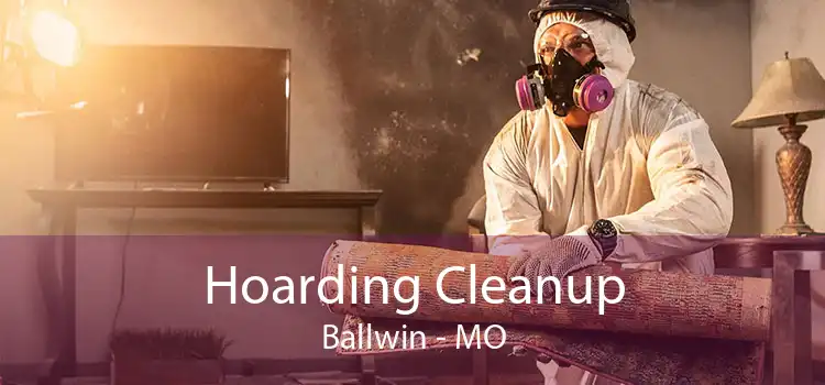 Hoarding Cleanup Ballwin - MO