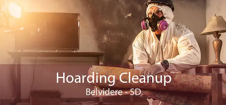 Hoarding Cleanup Belvidere - SD