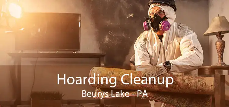 Hoarding Cleanup Beurys Lake - PA