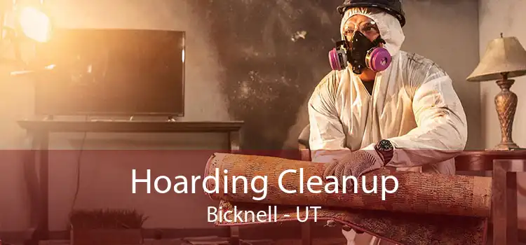 Hoarding Cleanup Bicknell - UT