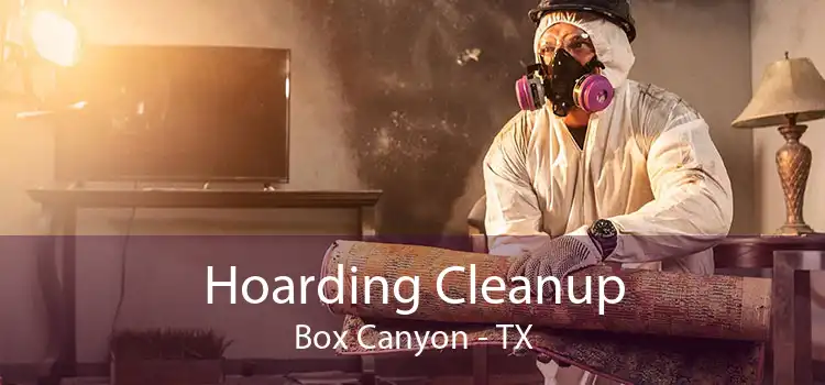 Hoarding Cleanup Box Canyon - TX