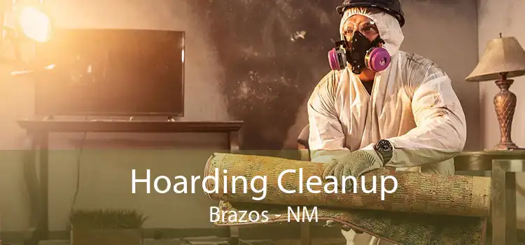 Hoarding Cleanup Brazos - NM
