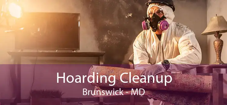 Hoarding Cleanup Brunswick - MD