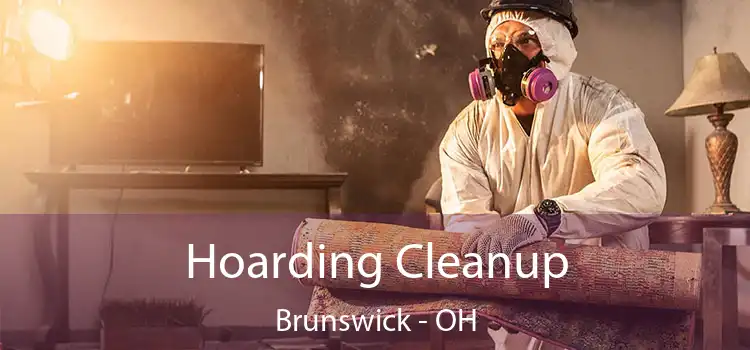 Hoarding Cleanup Brunswick - OH