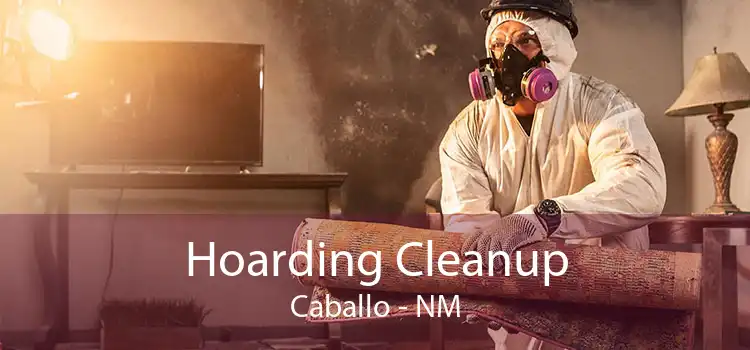 Hoarding Cleanup Caballo - NM