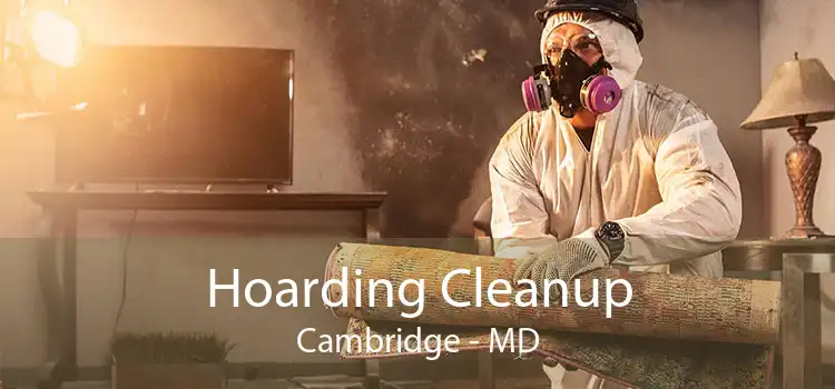 Hoarding Cleanup Cambridge - MD