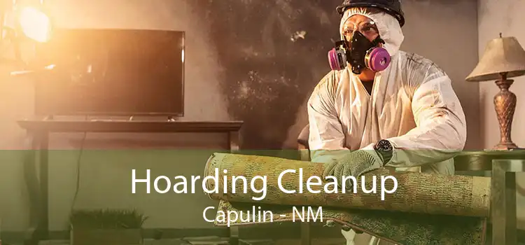 Hoarding Cleanup Capulin - NM