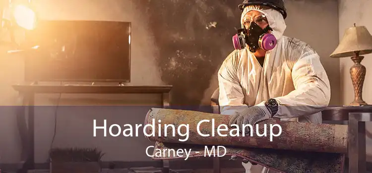 Hoarding Cleanup Carney - MD