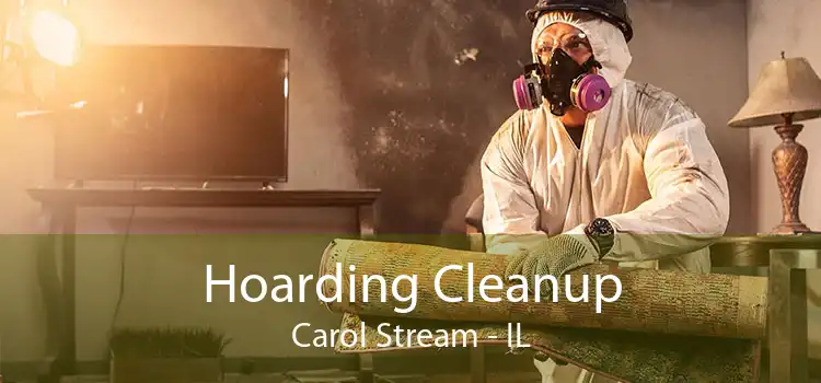 Hoarding Cleanup Carol Stream - IL