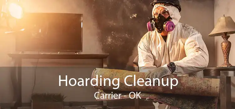 Hoarding Cleanup Carrier - OK