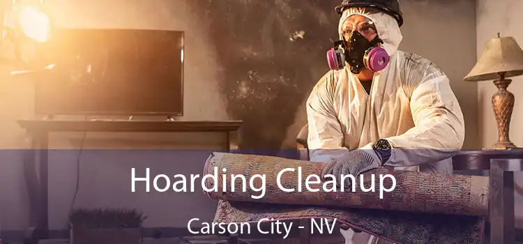 Hoarding Cleanup Carson City - NV