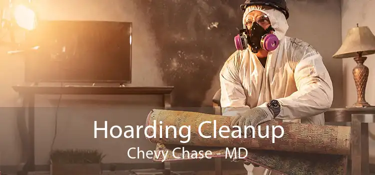 Hoarding Cleanup Chevy Chase - MD