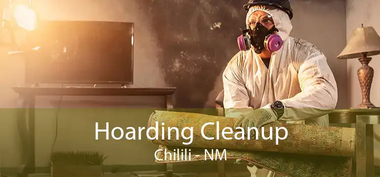 Hoarding Cleanup Chilili - NM