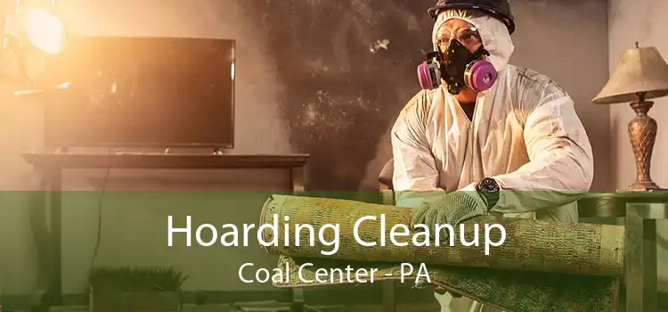 Hoarding Cleanup Coal Center - PA
