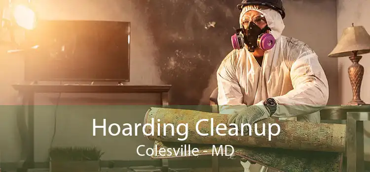 Hoarding Cleanup Colesville - MD