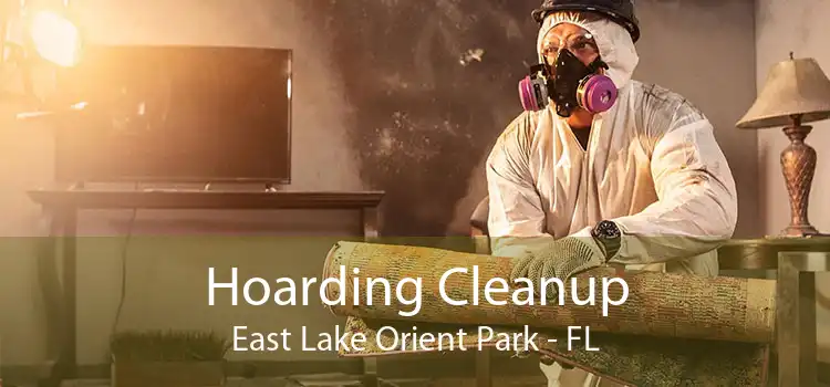 Hoarding Cleanup East Lake Orient Park - FL