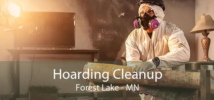 Hoarding Cleanup Forest Lake - MN