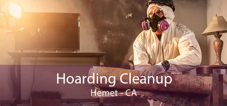 Hoarding Cleanup Hemet - CA