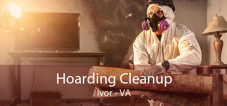 Hoarding Cleanup Ivor - VA