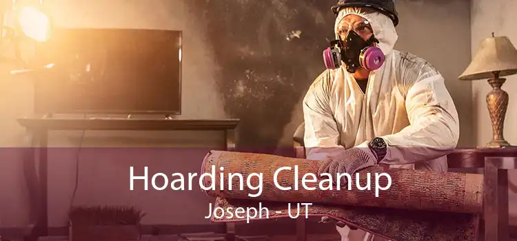 Hoarding Cleanup Joseph - UT