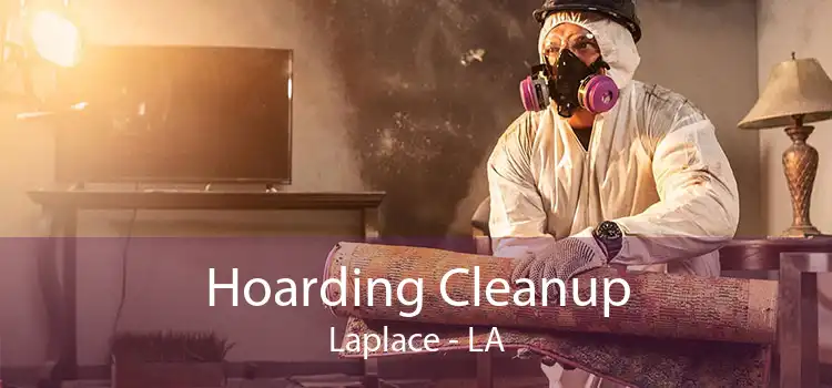 Hoarding Cleanup Laplace - LA