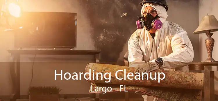 Hoarding Cleanup Largo - FL