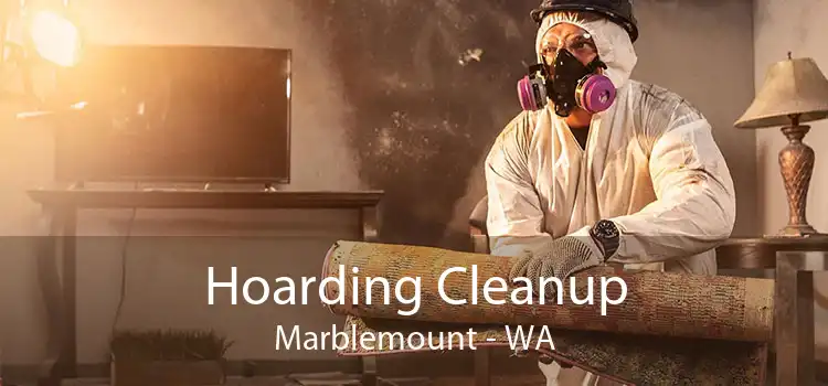 Hoarding Cleanup Marblemount - WA