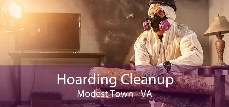 Hoarding Cleanup Modest Town - VA