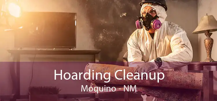 Hoarding Cleanup Moquino - NM
