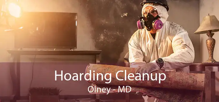 Hoarding Cleanup Olney - MD