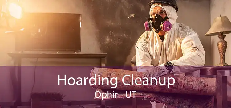 Hoarding Cleanup Ophir - UT