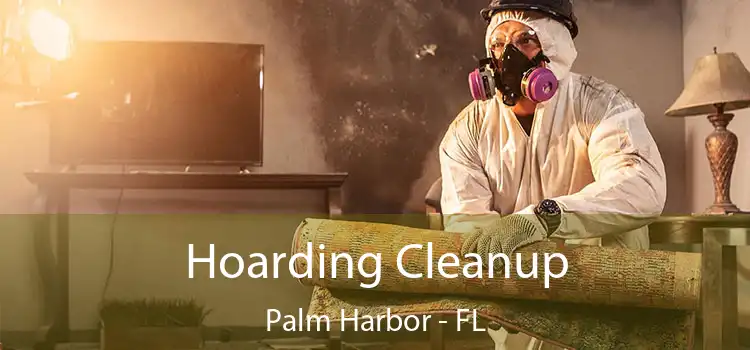 Hoarding Cleanup Palm Harbor - FL
