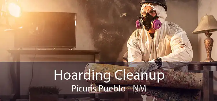Hoarding Cleanup Picuris Pueblo - NM