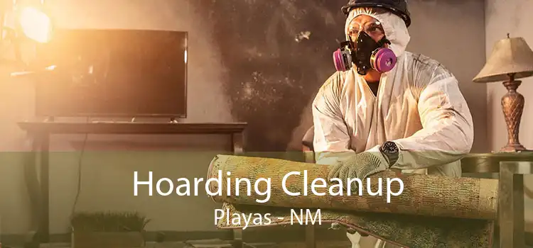 Hoarding Cleanup Playas - NM