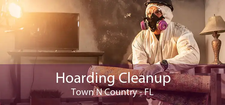 Hoarding Cleanup Town N Country - FL