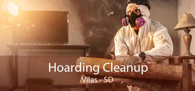 Hoarding Cleanup Vilas - SD