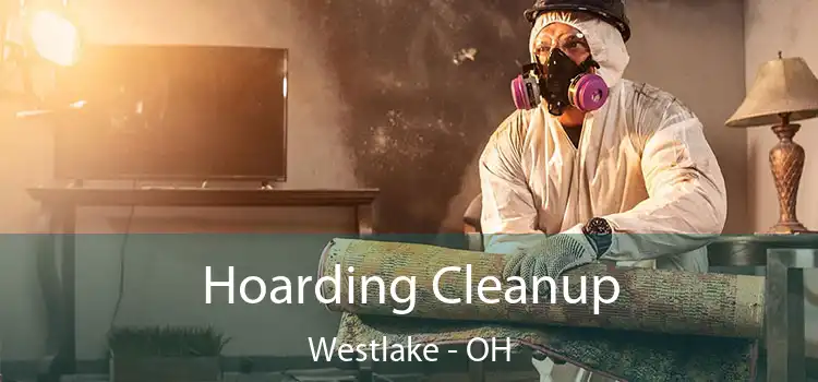  Hoarding Cleanup Westlake - OH